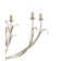 Menefee 6 - Light Chandelier