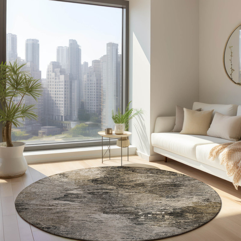 Decicco Washable Abstract Indoor / Outdoor Rug, Round 8'