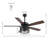 Sherranda 52'' Ceiling Fan with Light Kit-1440172608