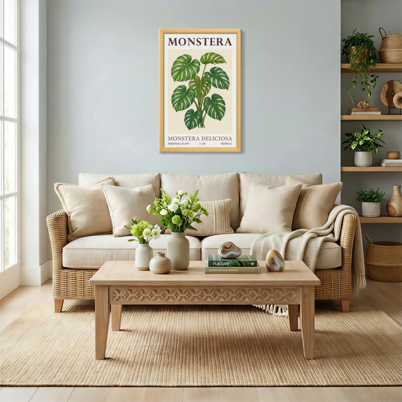 Plantes et fleurs Monstera Deliciosa