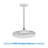 LED Flush Mount