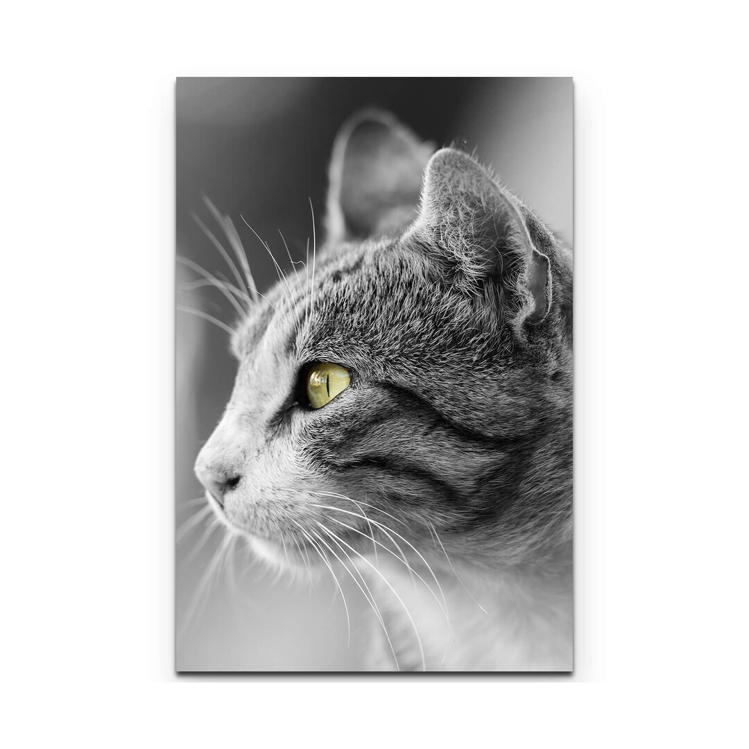 Leinwandbild Graue Katze Portrait