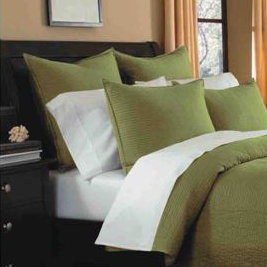 Spurling Hill Square 100% Cotton Pillow Cover, Green Stripe, Standard