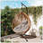 Sturdy Rattan Hammock Chair Stand Soft Cushion Indoor Outdoor-328418010