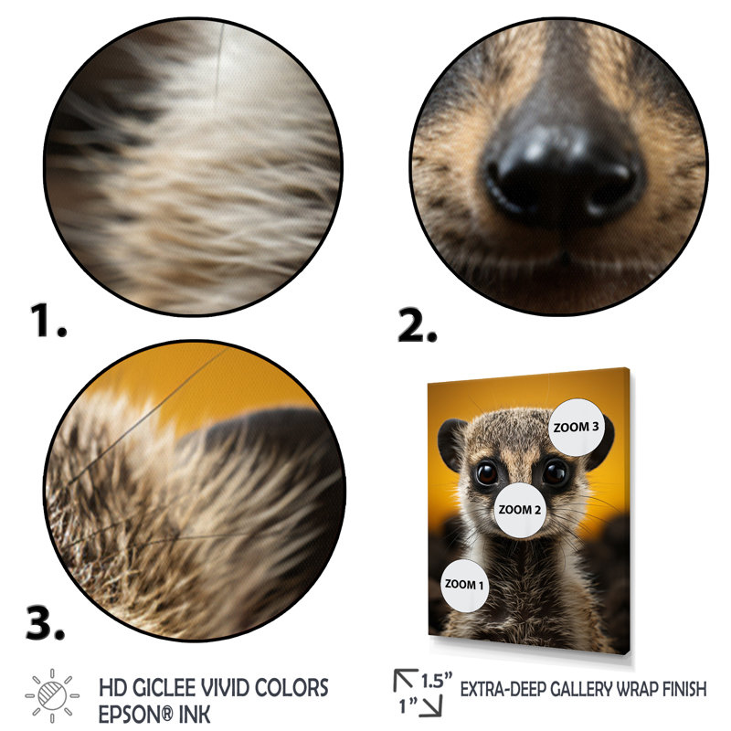 Jaune jaune brun Meercat Curious Meercat - impression, Encadrement doré, H 20 po x l 12 po x P 1 po