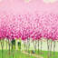 « joie », peinture sur toile-18756866-74406776-74406777