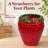 Strawberry Decorative Planter