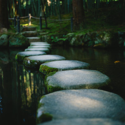 Khalessi Zen Garden Stepping Stones In Kyoto
