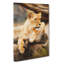 Lioness - Wrapped Canvas-61838835