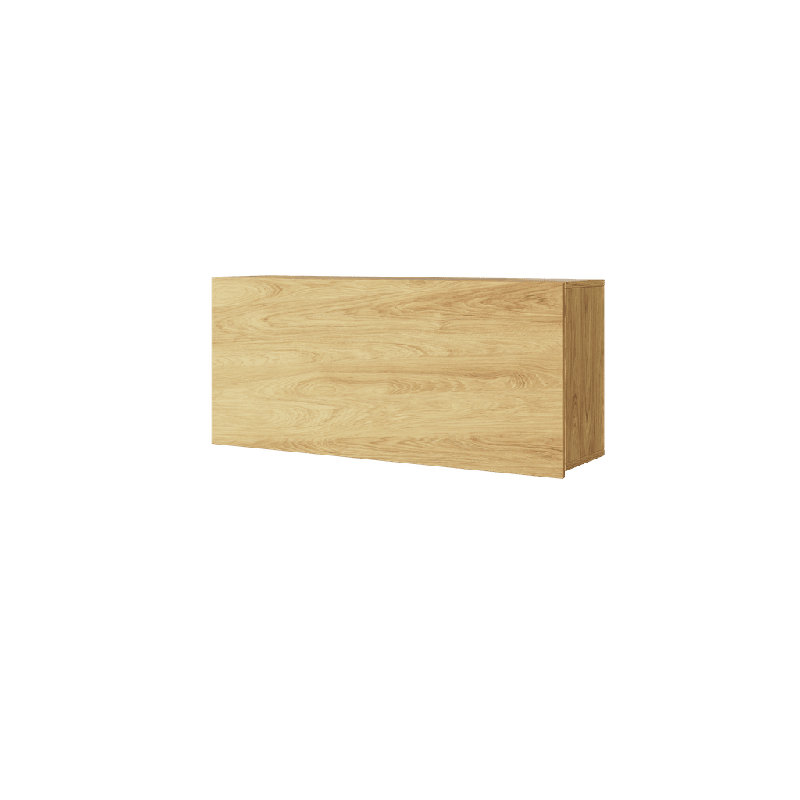 Versatile Oak Hickory Wall Shelf with Pull-Up Door W102cm for Teen Bedrooms  