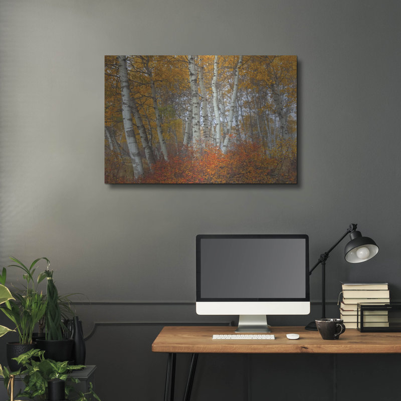 "Morning Aspens" par Jesse Estes, H 24 po x l 36 po