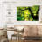 Kerrick Forest Sunburst-108967691
