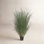 Kellan Curled Grass Plant in Pot