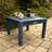 Anette Outdoor Adirondack Chair With Table-836815652