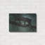 «Black Jaguar» par Harro Maass, Millwood Pines, art mural en métal, 36 po x 24 po-1472468208