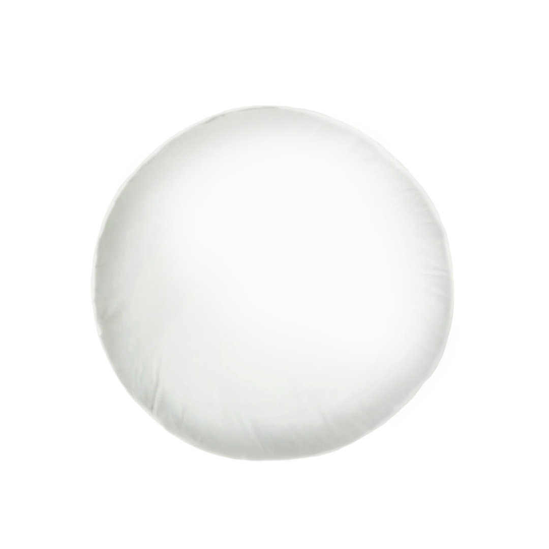  Polyfill Indoor / Outdoor White Square Throw Pillow Insert Rajani Home