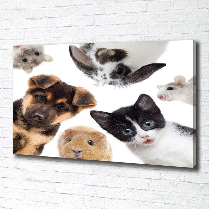Pets - Wrapped Canvas Print