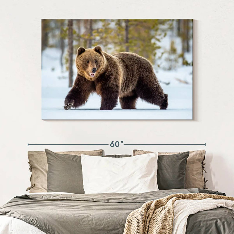 Adulte grizzly, H 34 po x l 51 po