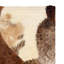 Esteves Animal Print Area Rug-41237154