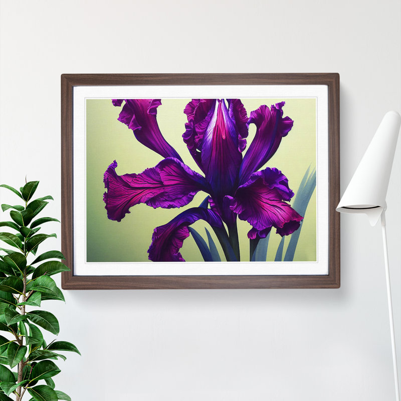 Classic Iris Flowers - Framed Print, 34cm H x 46cm W x 2cm D, Walnut