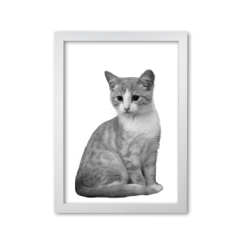 Cat - Print, White Grain Frame, 42 cm H x 30 cm W x 5 cm D