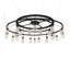24 - Light Chandelier