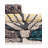 Wrought Studio Diab Marelda Indoor/Outdoor Area Rug-952940265
