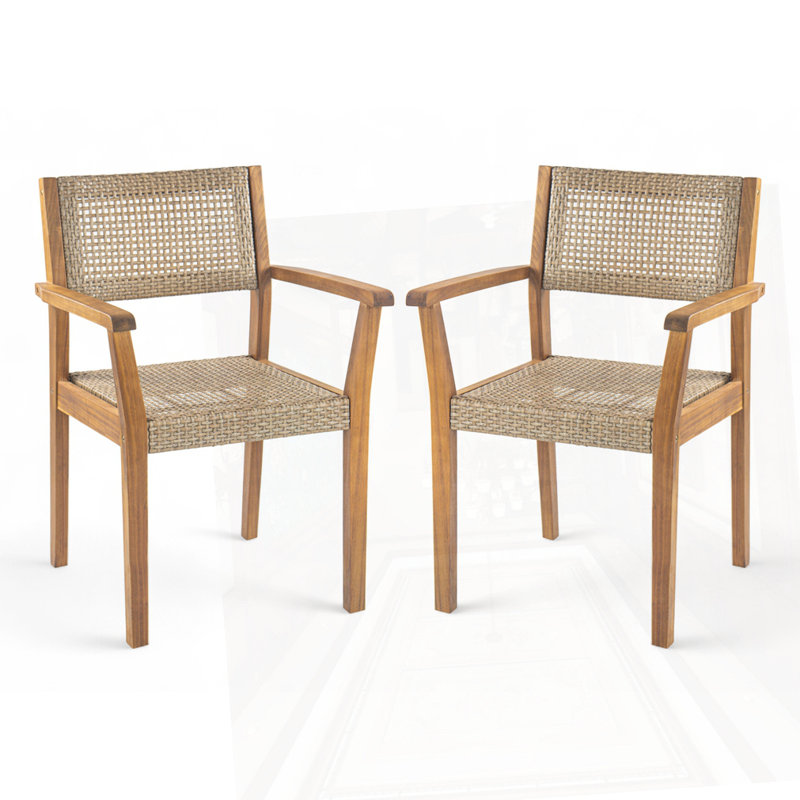 Chaise de salle à manger d'extérieur (ensemble de 2)