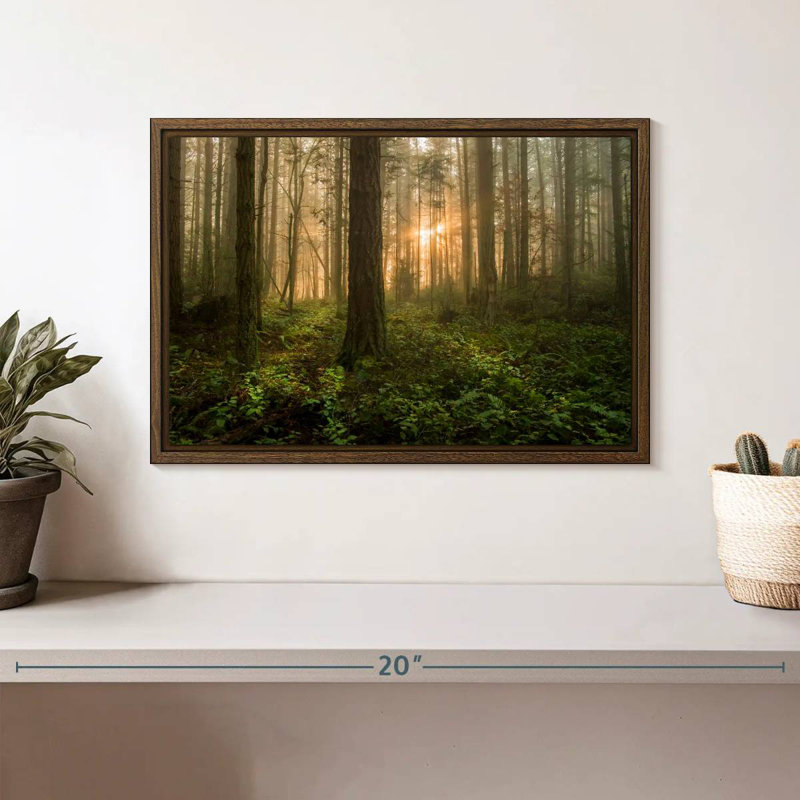 Lever de soleil sur la forêt de l'île Lummi, 13 po x 9 po, Cadre flottant noyer