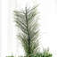 Arbre de Noël 9 pi pour décoration, 1298 branches, ouverture automatique, ignifuge avec base solide, plastique