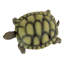Statue de Gilbert, la tortue-boîte