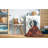 Oriental Indoor Rug-1659980473
