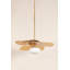 Luminaire suspendu 1 lumière Allida