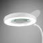 Torre Desk Lamp