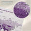 World's A Book I Push Pin World Amrico-463052780