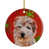 Terrier de Norfolk