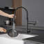 Robinet de cuisine rétractable-125337515