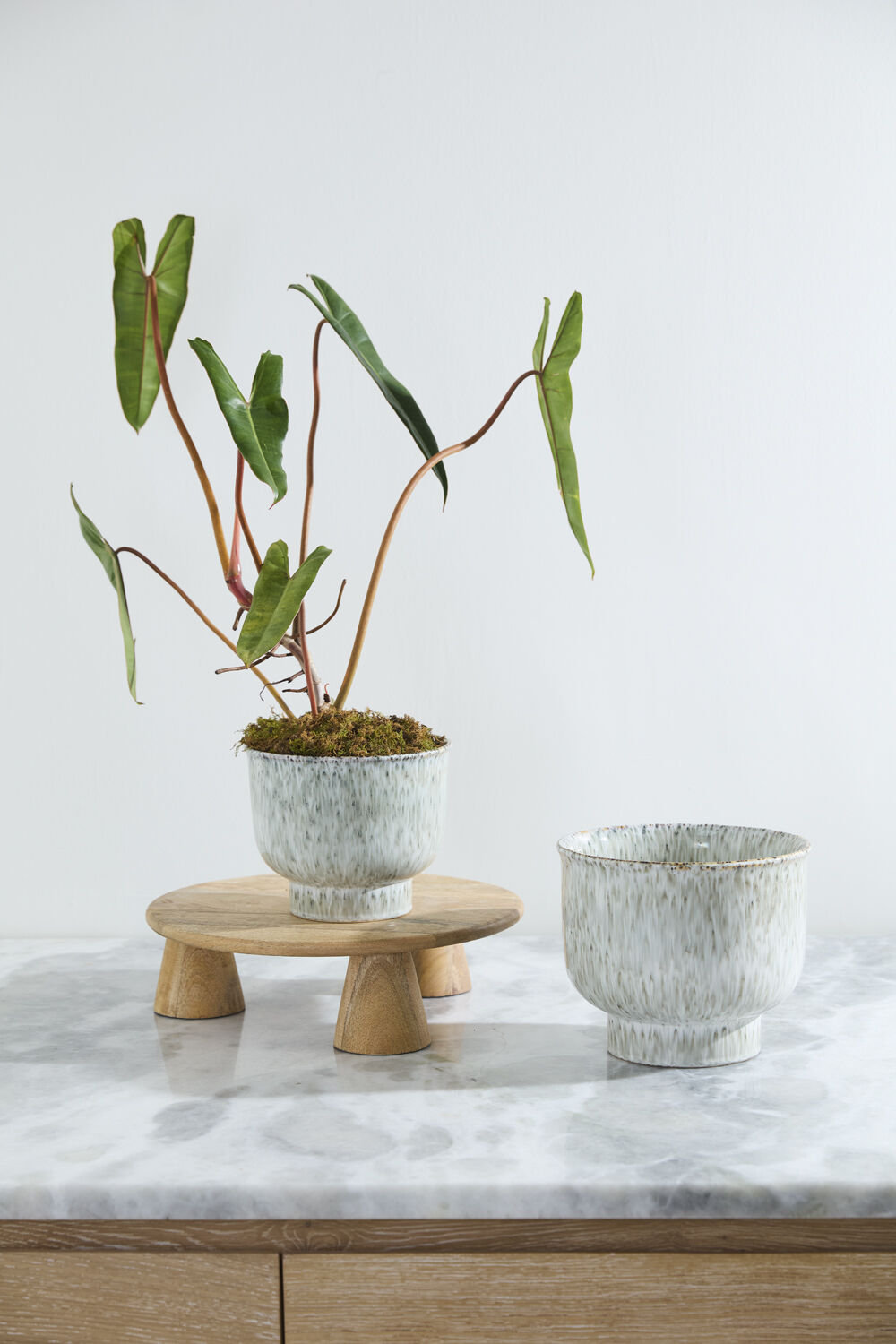 Hayden Pot, 8" H x 9.5" W x 9.5" D