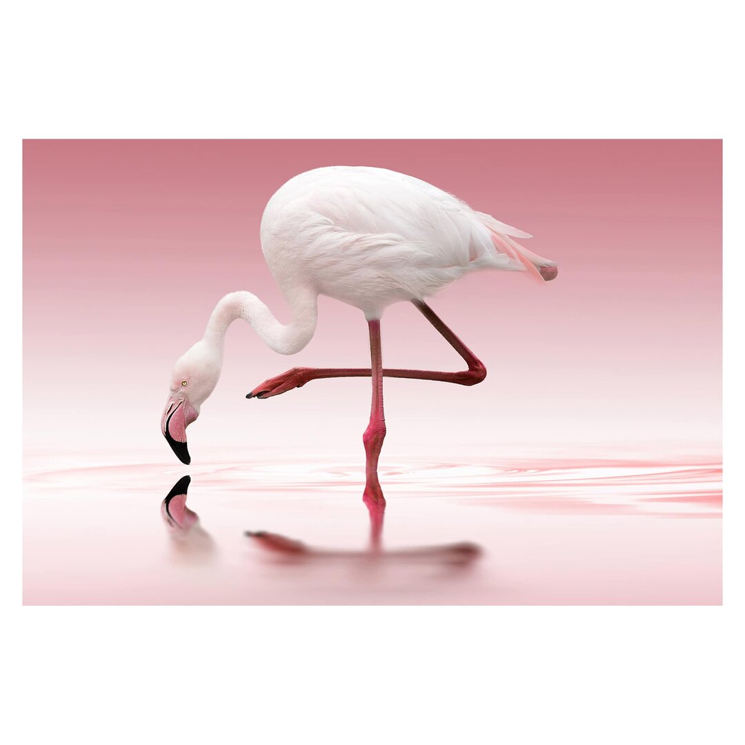 Strukturierte Fototapete Flamingo Dance 3,2 m x 480 cm