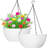 Hanging Planter-1286674574