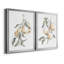 «Watercolor Fruit Contour I», ensemble de 2 reproductions d'art sur toile encadrées-1371489477-1371489474