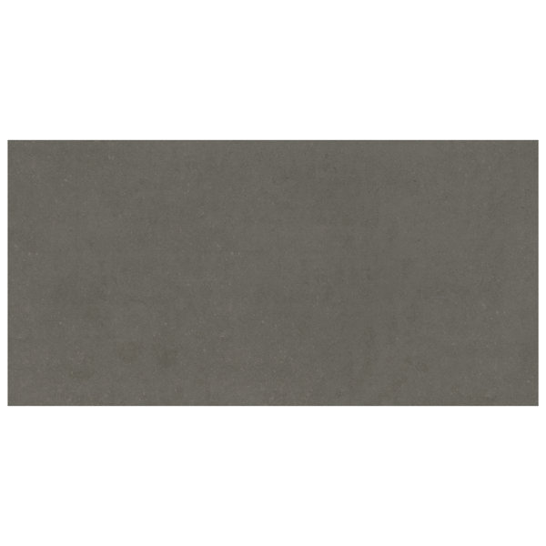 Ackland Betonica Cemento 24 in. x 48 in. Matte Porcelain Concrete Look Floor and Wall Tile