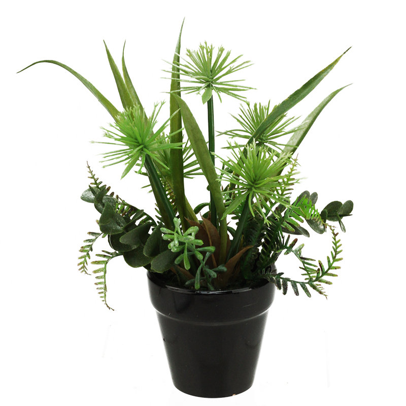 Plante grasse artificielle en pot 10 po
