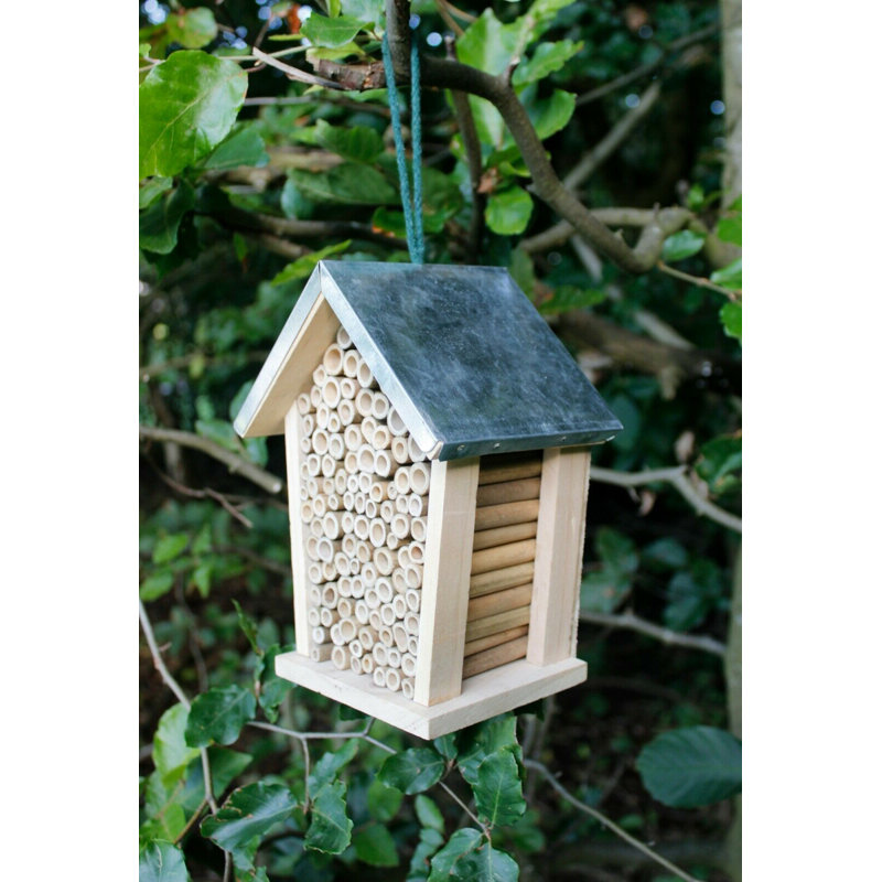 Thorgard Weather Resistant Insect Cage