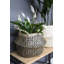 Seagrass Lined Basket Planter-1815029844-1815051235
