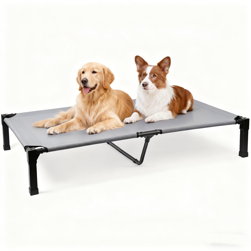 Lit pour chien Cooling Elevated, H 9,3 po x l 60 po x P 36,1 po, Gris