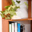 Bibliothèque de coin de 90 cm et ensemble de bibliothèque de 80 cm, étagère combinée extensible et chêne foncé