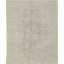 Neo Villa Oriental Area Rug