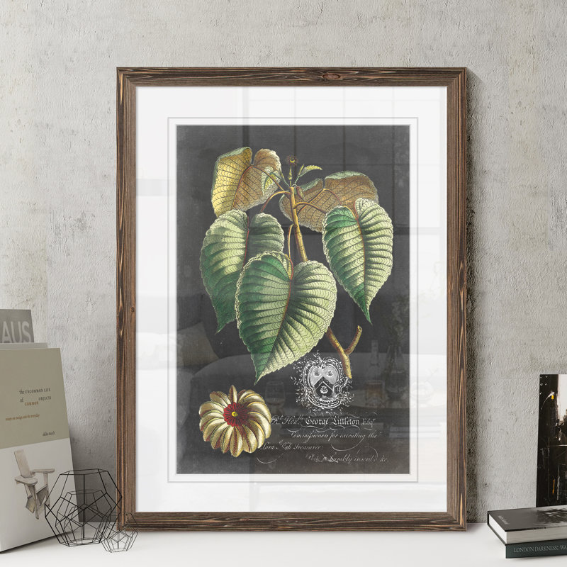 « royal feuillage i » par paul cezanne-photo-cadre, reproduction d’art, H 22 po x l 18po x P 1,25 po, Papier encadré moka