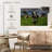 Brampt Holstein Cow-107853659